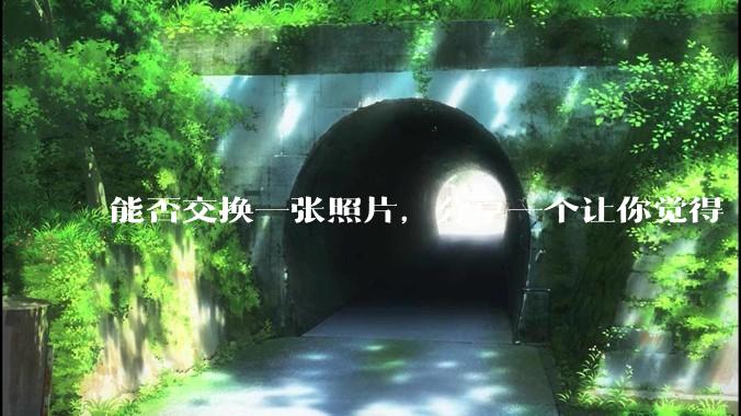 能否交换一张照片，分享一个让你觉得「仿佛回到了暑***」的瞬间？