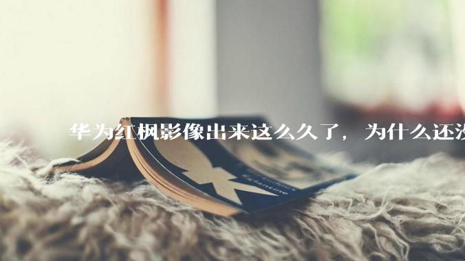 华为红枫影像出来这么久了，为什么还没有友商跟进？是不是说明这是一项可有可无的技术？